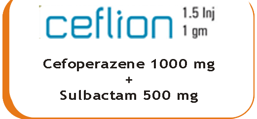 ceflion1